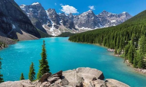 津威乳酸菌有什么功效网 :分享津威乳酸菌是什么国家-津威乳酸菌28瓶多少钱一箱知识